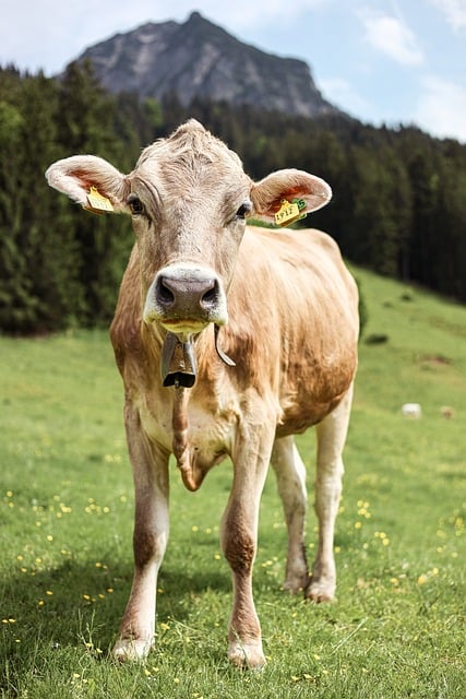 horská trasa na mape